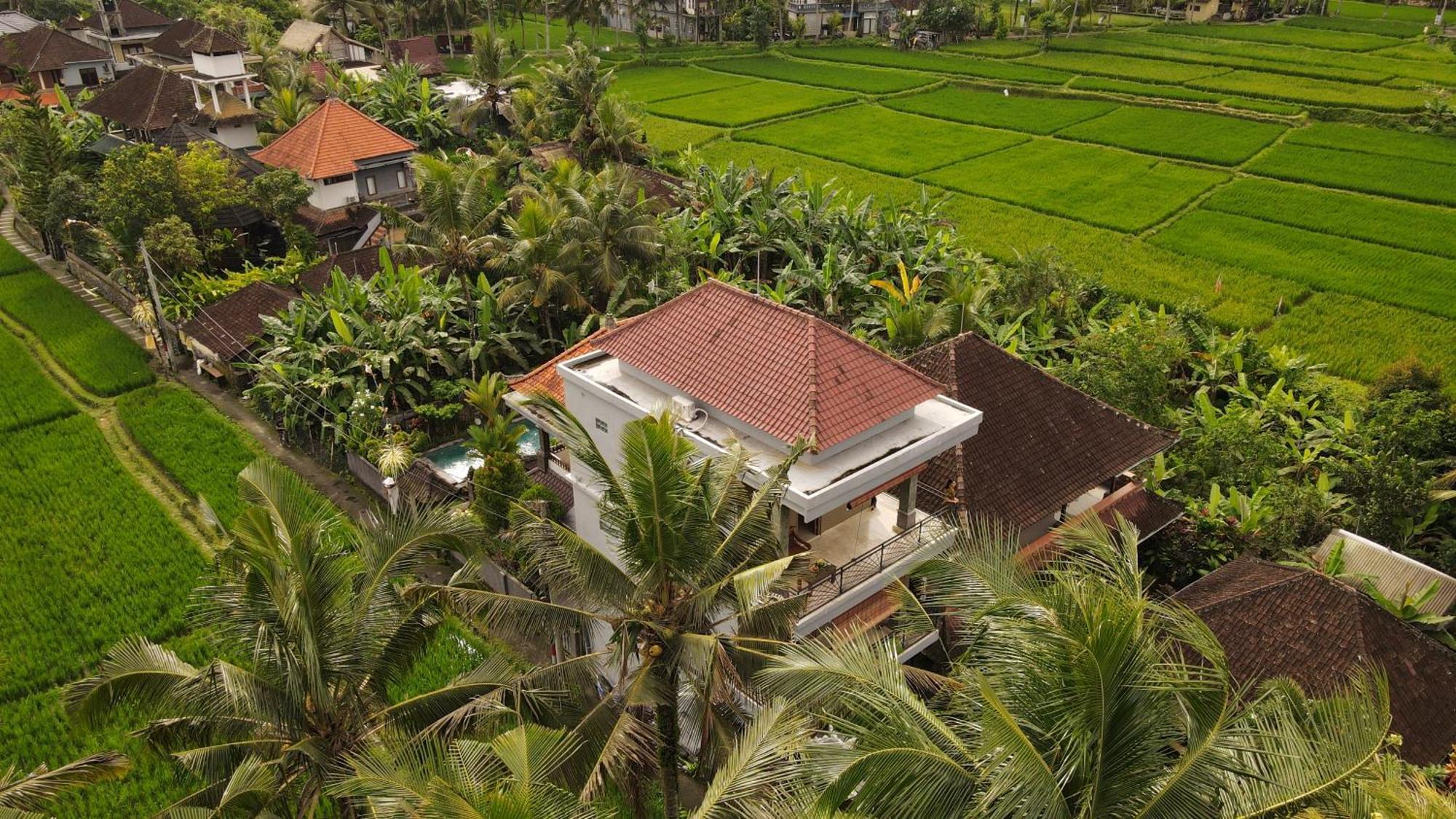 Guest house Nirwa 1 Ubud (Bali)